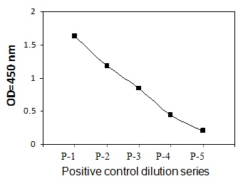 PEL-BTK-Y Positive Control
