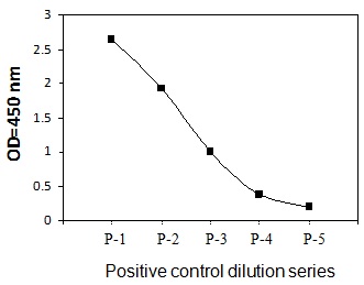 PEL-EphA4-Y Positive Control