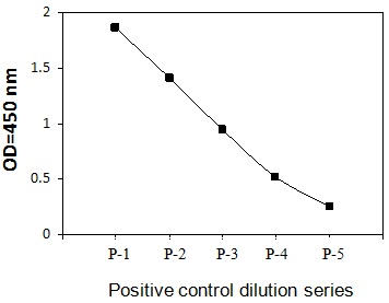 PEL-EphB2-Y Positive Control