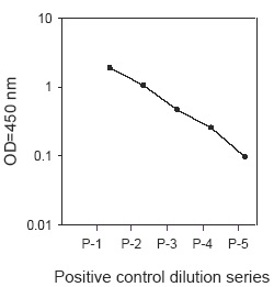 PEL-EphB3-Y Positive Control