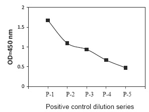 PEL-ErbB3-Y Positive Control
