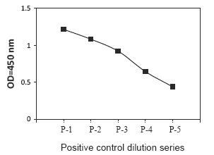 PEL-PYK2-Y Positive Control