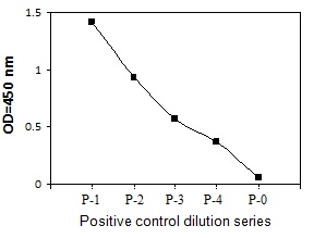 PEL-ErbB2-Y Positive Control