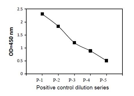  ITK (Phosphotyrosine)- Positive Control