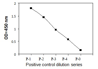 PEL-PDGFRB-Y Positive Control
