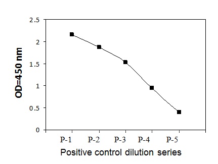 SCFR (Phosphotyrosine)- Positive Control