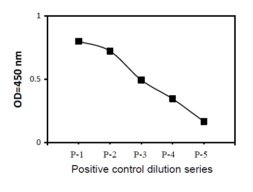  TIE-2 (Phosphotyrosine)- Positive Control