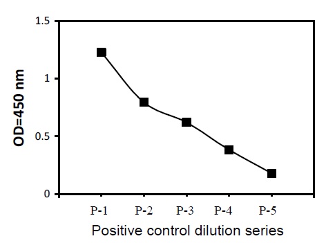  VEGFR3 (Phosphotyrosine)- Positive Control