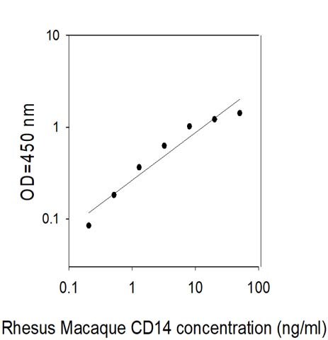 Rhesus Monkey CD14 ELISA Standard Curve