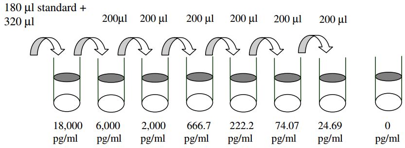 Human Betacellulin ELISA Standard Dilutions
