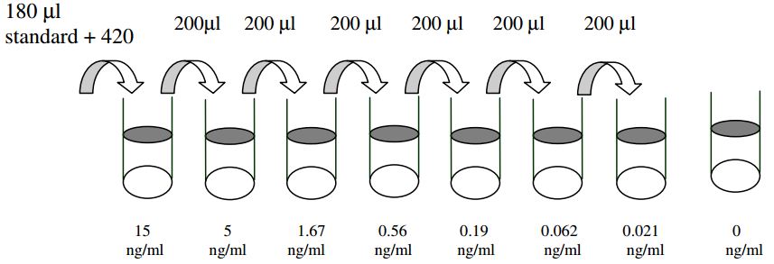 Human IgG ELISA standard dilution series