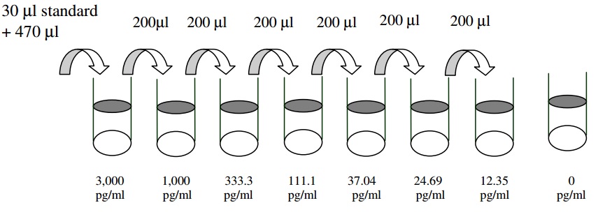 Human IL-17 RA ELISA Standard Dilutions