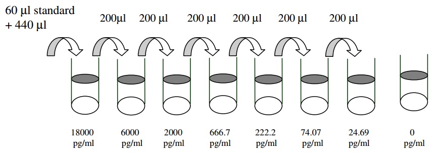 Human IL-18 BP alpha ELISA Standard Dilutions