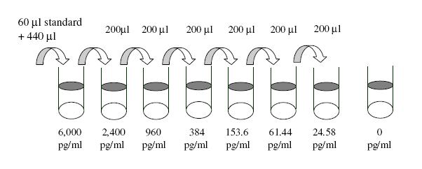 Human IL-2 R beta ELISA Standard Dilutions