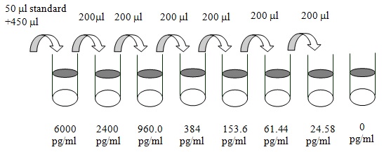 Dilution series diagram with 8 vials