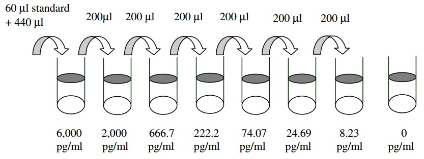 Human VEGF ELISA Dilution Series Diagram