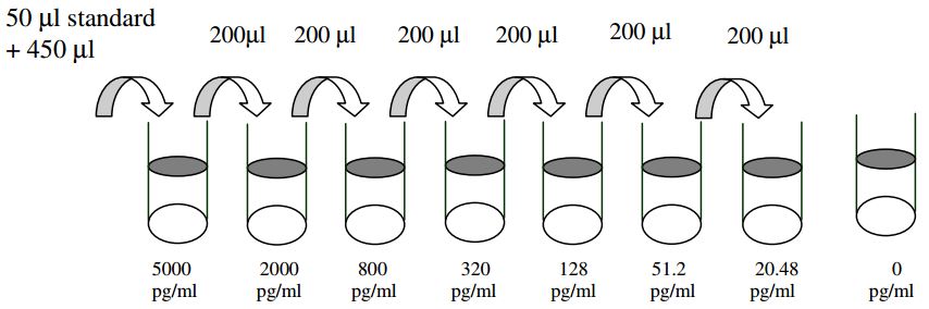 Mouse Gas 6 ELISA Standard Dilutions