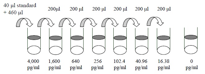 Mouse IL-20 ELISA Standard Dilutions