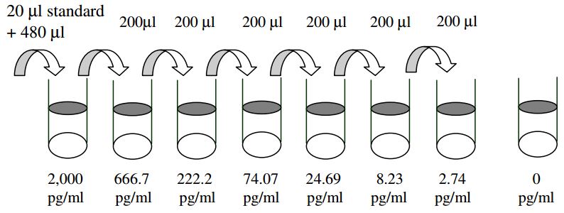 Mouse Osteopontin ELISA Standard Dilutions