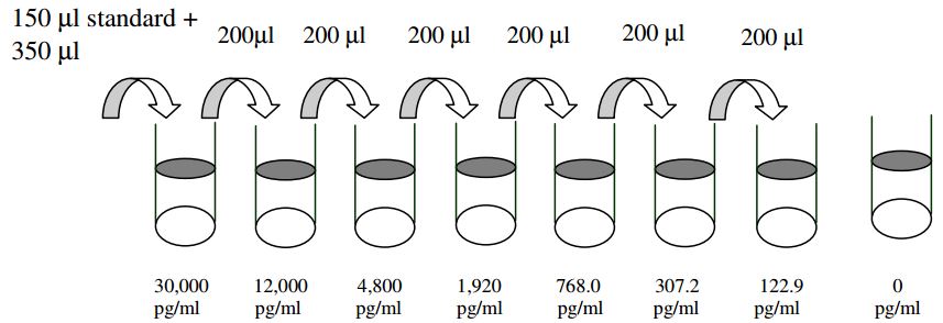 Rat IFN-gamma ELISA Standard Dilutions