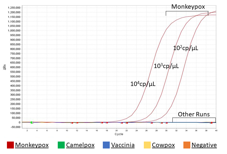PCR amplification plot showing the high specificity of this product