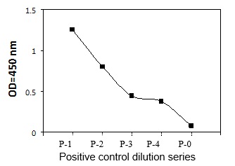 FYN ELISA - Positive Control