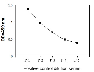 MKK3 ELISA Pos Control
