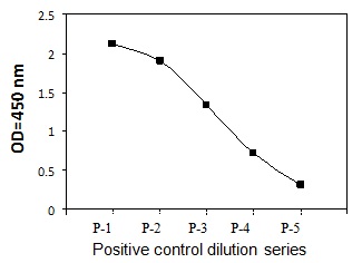PEL-ROR1-Y Positive Control