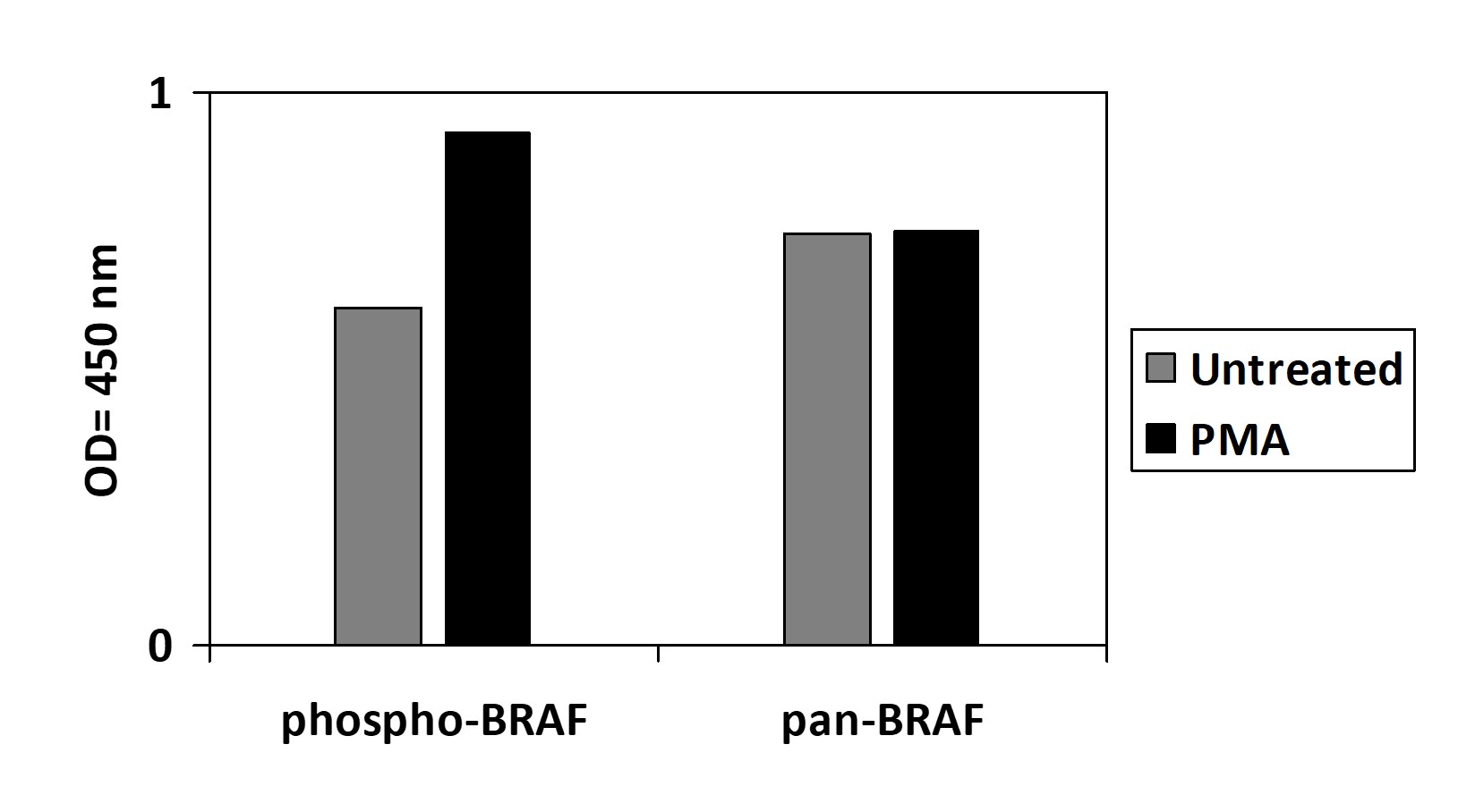 BRAF (T401) - ELISA Kit