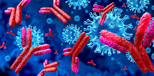 Antibodies Antibodies