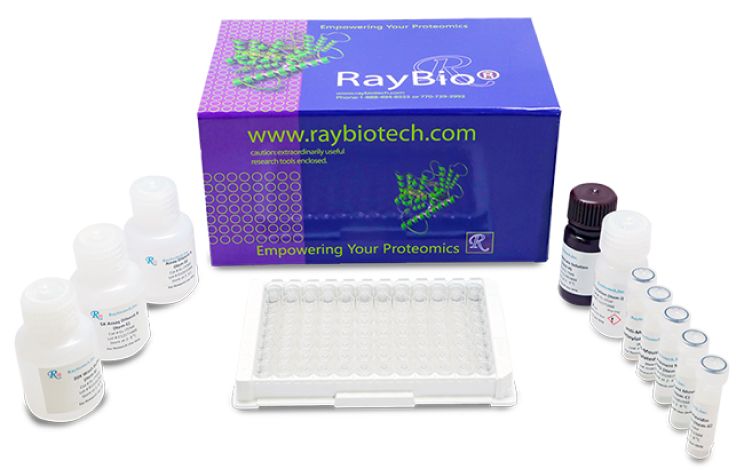 Sandwich ELISA Sandwich ELISA