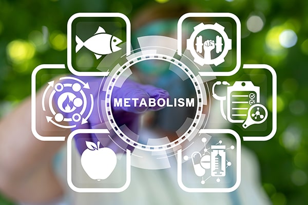 Metabolism Assays Metabolism Assays
