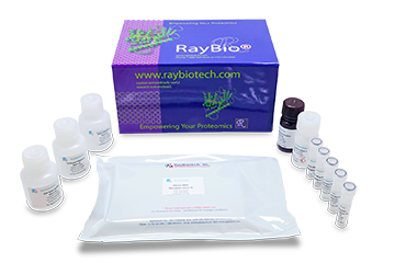 Phosphorylation ELISA Phosphorylation ELISA