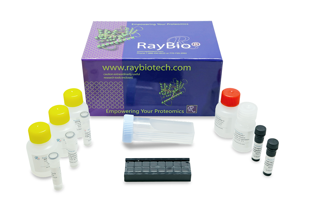 Quantibody Multiplex ELISA Quantibody Multiplex ELISA