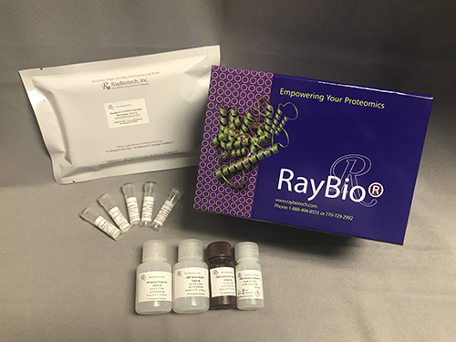 Ligand Binding Assays Ligand Binding Assays