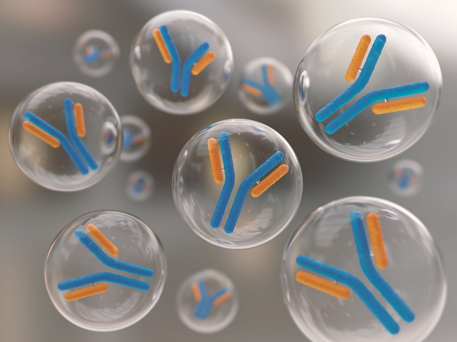 Flow Cytometry Antibodies Flow Cytometry Antibodies