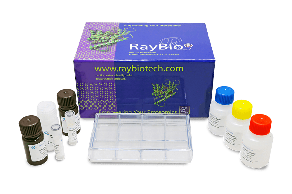Membrane Antibody Arrays Membrane Antibody Arrays