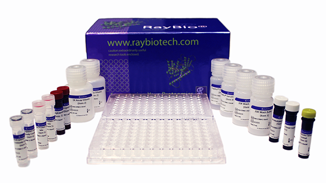 Cytometric Bead Arrays Cytometric Bead Arrays