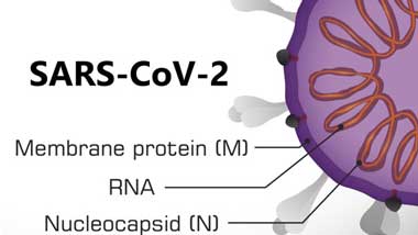 PCR Kits PCR Kits