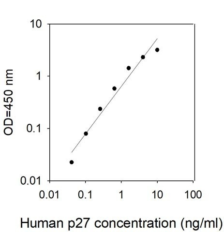 Human p27/Kip1/CDKN1B ELISA Kit