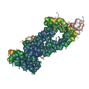 Recombinant Human ACE2 Protein, Biotinylated
