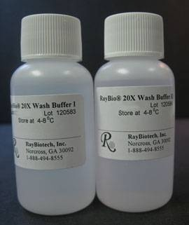 20X Wash Buffers I and II