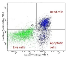 RayBio® Annexin V Apoptosis Kit