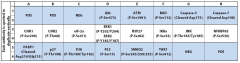 Human Apoptosis Signaling Array C1