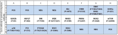 Human/Mouse MAPK Phosphorylation Array