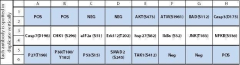 Mouse Apoptosis Signaling Pathway Array C1