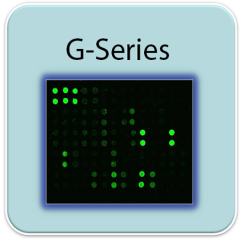 Human Apoptosis Array G1
