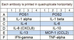 Human Inflammation Array Q1
