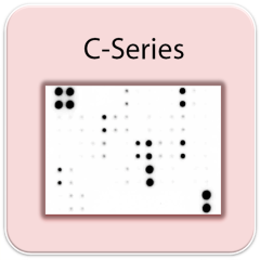 C-Series Detection Buffer C&D