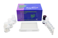 Alpha-MSH ELISA Kit